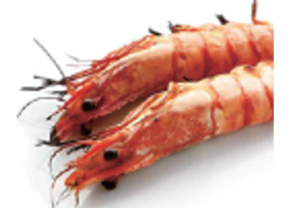 Yakitori gambas